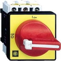 Главный аварийный выключатель-разъединитель 3-пол. 32А  Schneider Electric. Вид 1