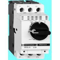 Автомат с регулируемой тепловой защитой (25А) 50kA Schneider Electric. Вид 1