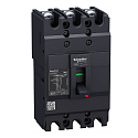 Schneider Electric: EZC100N3063