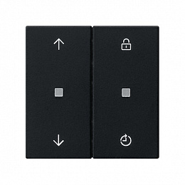 Накладка на жалюзийный выключатель (черный матовый) System 55 Gira. Вид 1