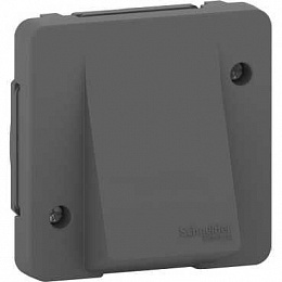 Вывод кабеля IP55 (антрацит) Mureva Styl Schneider Electric. Вид 1