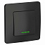 Выключатель 1-клавишный с подсветкой, С/У, 10А, 250B (антрацит) Blanca Systeme Electric. Вид 1.