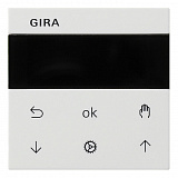 GIRA: G536603