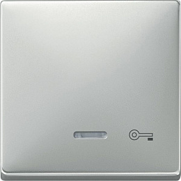 Клавиша с окош.для св.инд. и маркировкой"ключ", sd (сталь) Merten Schneider Electric. Вид 1