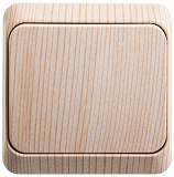 Systeme Electric: BA10-001D