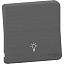 Клавиша с символом "свет" IP55 (антрацит) Mureva Styl Schneider Electric. Вид 1.