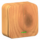 Systeme Electric: BLNVA105105