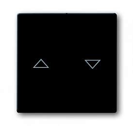 1785 JA-81 Клавиша для механизма выключателя жалюзи 2000/4 U и 2020/4 US, с маркировкой, серия solo/future, цвет антрацит ABB. Вид 1