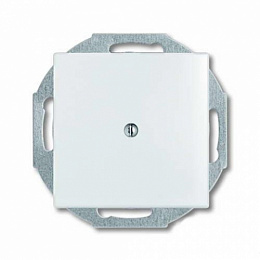 2538-94-507 Заглушка с суппортом, альпийский белый ABB. Вид 1