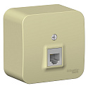 Systeme Electric: BLNIA011007