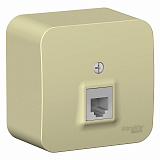 Systeme Electric: BLNIA011007