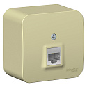 Systeme Electric: BLNIA045007