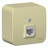Systeme Electric: BLNIA045007