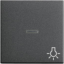 Клавиша с линзой (антрацит) System 55 Gira. Вид 1