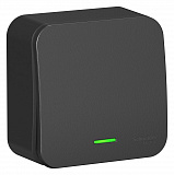 Systeme Electric: BLNVA101106