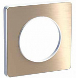 Schneider Electric: S52P802L