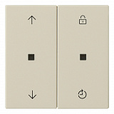 GIRA: G536301