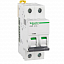iC65N 2P 10А Автоматический выключатель 2-полюсный, 10А, 6кА (хар-ка B) Schneider Electric. Вид 1.