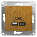 Systeme Electric: GSL000539