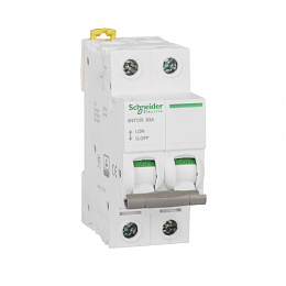 iINT125 Выключатель нагрузки 2-полюсный, 63А Schneider Electric. Вид 1