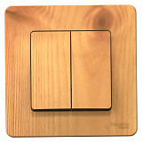 Systeme Electric: BLNVS010505