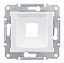 Адаптер для 1 коннектора RJ45, systimax, кат. 5е, кат. 6, utp (белый) Sedna Schneider Electric. Вид 1.