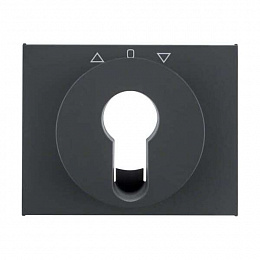 Накладка для жалюзийного замочного выключателя/кнопки (антрацитовый, матовый) K.1 Berker. Вид 1