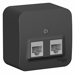 Розетка двойная, О/У компьютерная RJ45, кат.5e, изол.пл. (антрацит) Blanca Systeme Electric. Вид 1