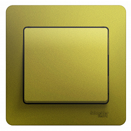 Выключатель 1-клавишный,сх.1,10ax, в сборе (фисташковый) Glossa Systeme Electric. Вид 1