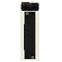 Schneider Electric: BMXDDM16022RU