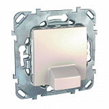 Schneider Electric: MGU5.862.25ZD