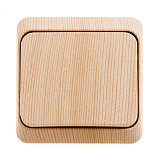 Systeme Electric: BA10-004D