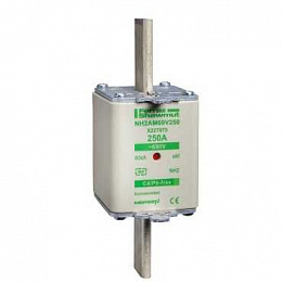 Предохранитель тип gg,размер 1250а Schneider Electric. Вид 1