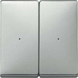 Sd, клавиша для модуля 2 кн. вык, сталь Schneider Electric. Вид 1