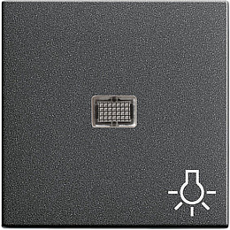 Клавиша с линзой (антрацит) System 55 Gira. Вид 1