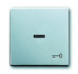 1789 TR-83 Клавиша для механизма 1-клавишного выключателя/переключателя/кнопки, с прозрачной линзой и символом "КЛЮЧ", серия solo/future, цвет серебр. Вид 1