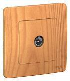 Systeme Electric: BLNTS000015