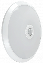Светильник LED ДПБ 9003 12Вт IP20 6500K с ДД и ИБП 1ч ИЭК. Вид 1