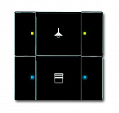 ABB: 2CKA006116A0217