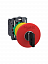 Кнопка аварийного останова Ø40, Ø22 тригерного действия с ключом, 1НО+1НЗ (в сборе) Schneider Electric. Вид 1.