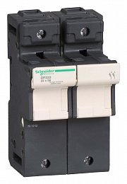 Разъединитель-предохранитель 125a.2p.22х58 Schneider Electric. Вид 1