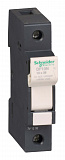 Schneider Electric: DF10N