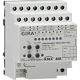 GIRA: G103900