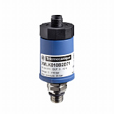 Schneider Electric: XMLK010B2D21