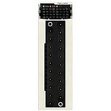 Schneider Electric: BMXDAI1602H