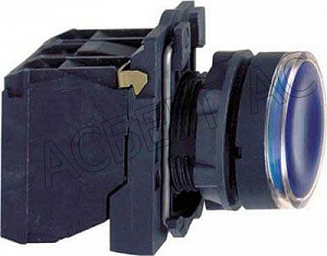 Кнопка синяя без фиксации 1НО+1НЗ с подсветкой 220В AC (в сборе) Schneider Electric. Вид 1