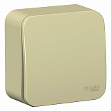 Systeme Electric: BLNCA101017