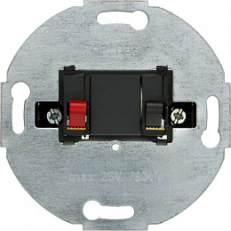 Розетка для громкоговорителя (антрацитовый, матовый) Berker. Вид 1