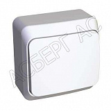 Systeme Electric: BA10-001B