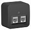 Розетка двойная: RJ45 компьютерная + RJ11 телефонная, изол. пл.,О/У (антрацит) Blanca Systeme Electric. Вид 1.